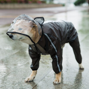 Alternative view of Puppy dog raincoat four feet