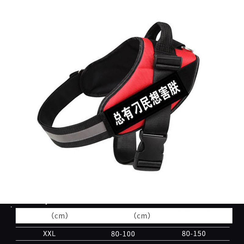 Comfort Hiker Dog Harness 🐶 - Image 5