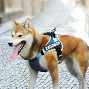 Comfort Hiker Dog Harness πΆ