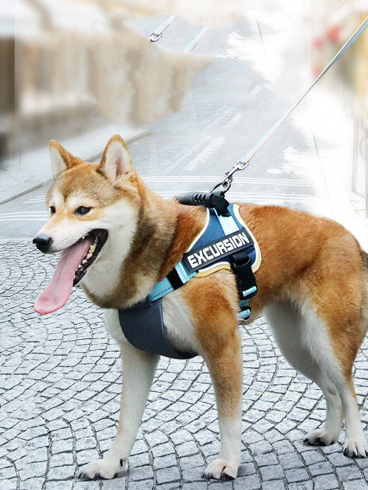 Comfort Hiker Dog Harness 🐶